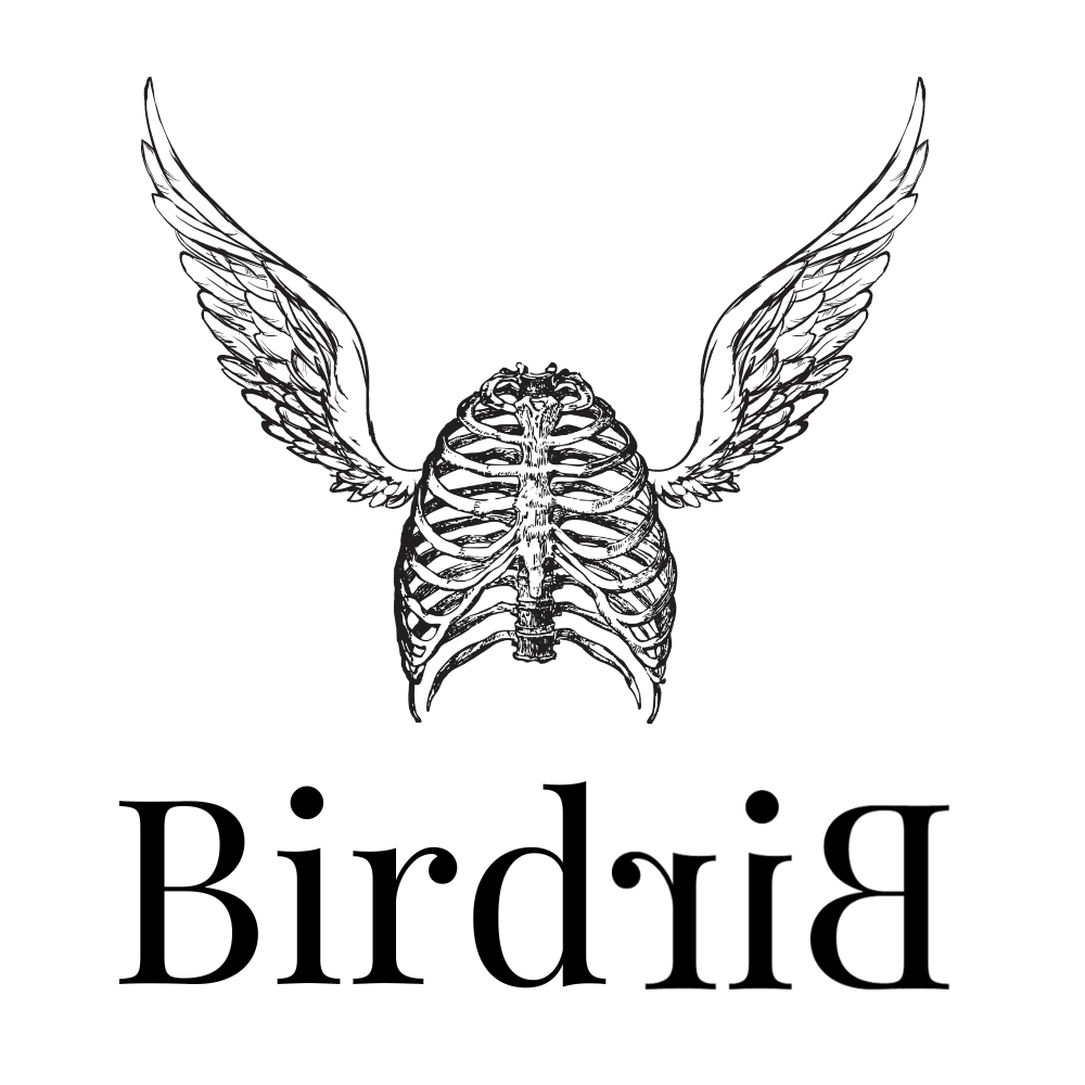 BirdriB Logo